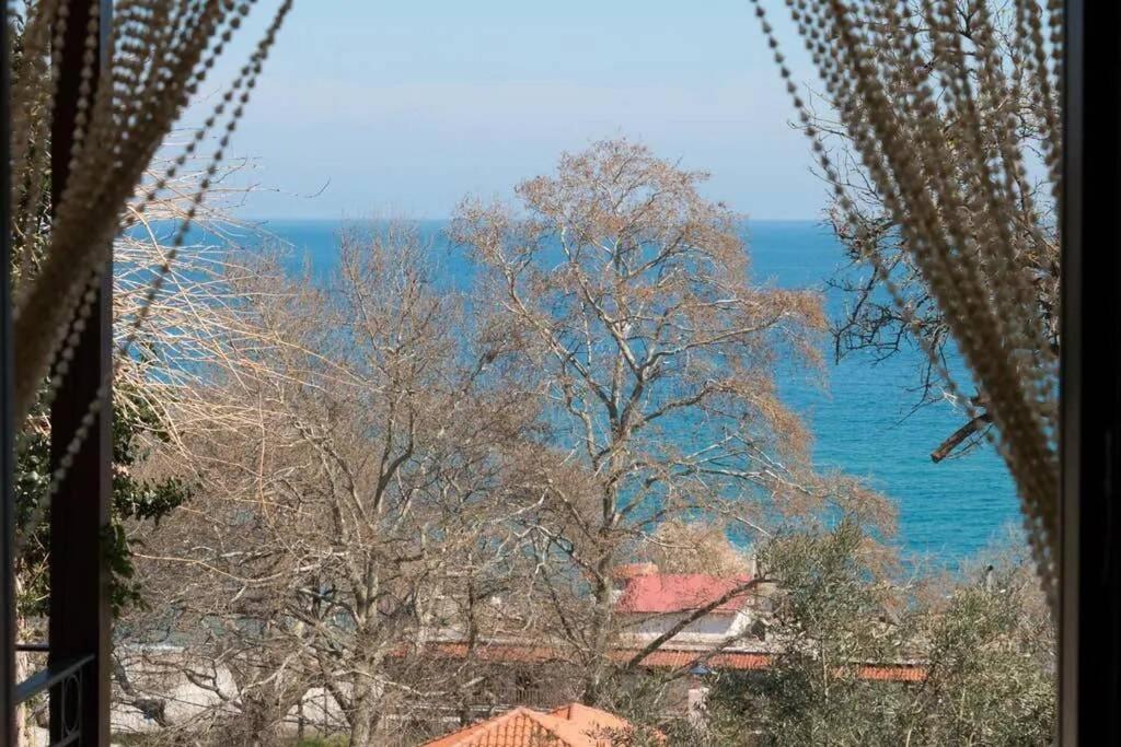 Eleni'S House Chorefto Загора Экстерьер фото
