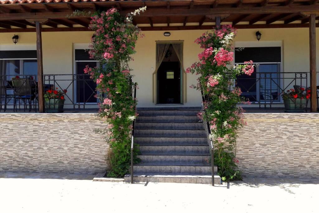 Eleni'S House Chorefto Загора Экстерьер фото